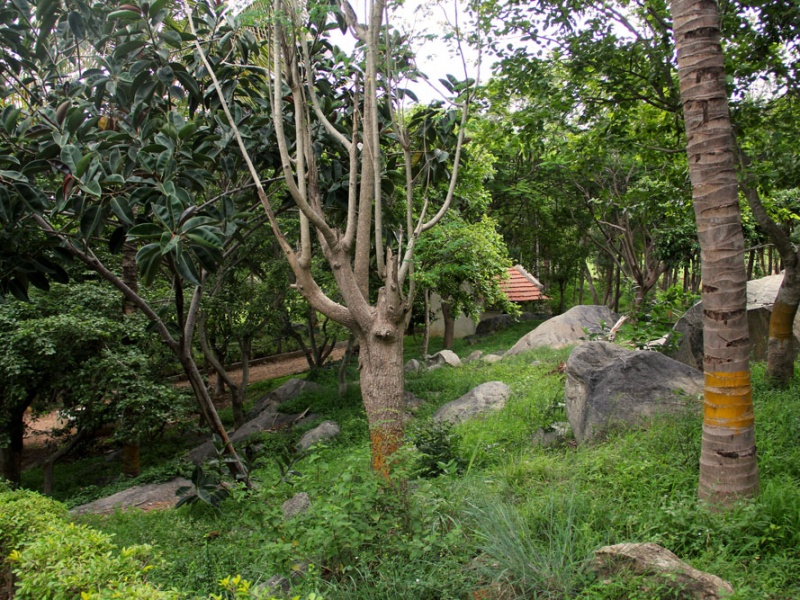 Hosur Farmland Villa Plots near Bangalore Alakananda Hosur