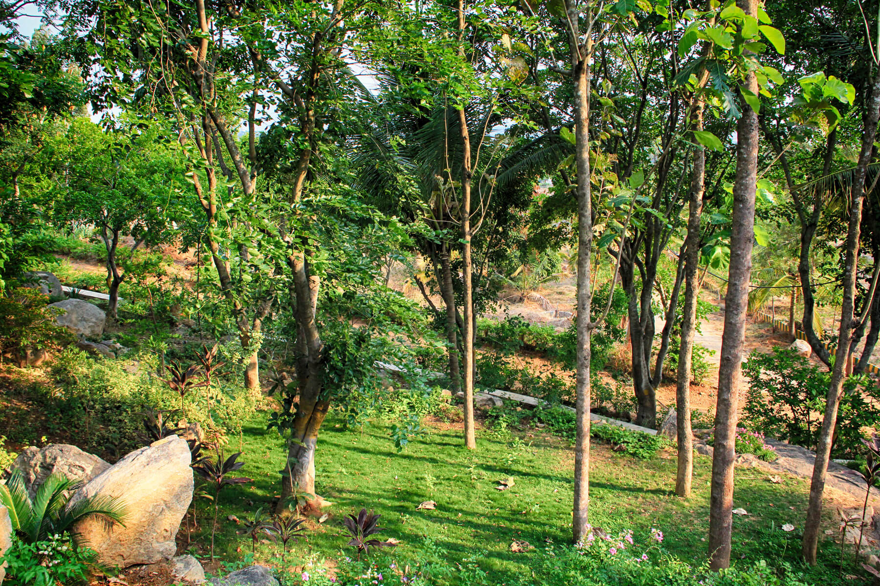 Hosur Farmland Villa Plots near Bangalore Alakananda Hosur