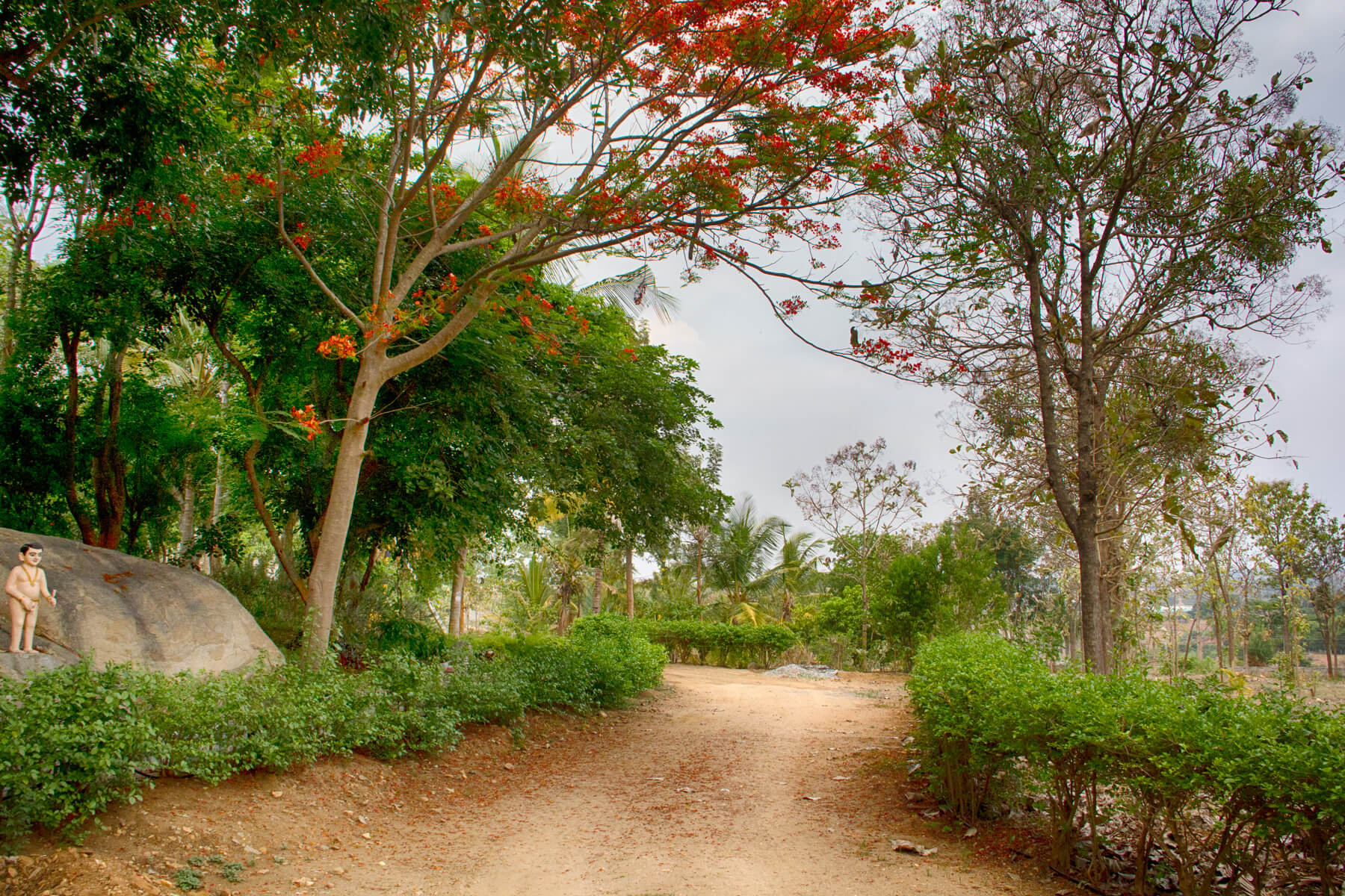 Hosur Farmland Villa Plots near Bangalore Alakananda Hosur