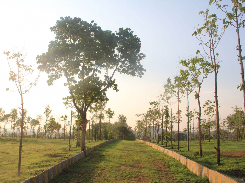 Hosur Farmland Villa Plots near Bangalore Alakananda Hosur