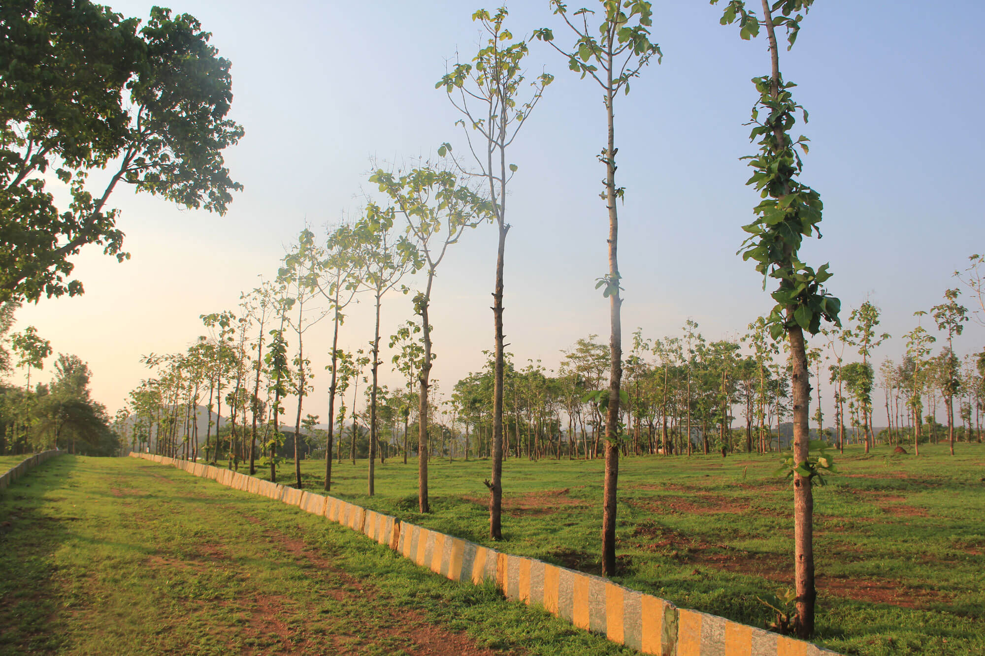 Hosur Farmland Villa Plots near Bangalore Alakananda Hosur