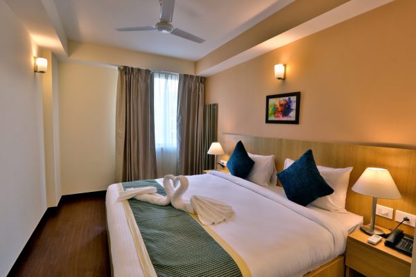 Starlit Suites Neemrana - Room 1 (1)